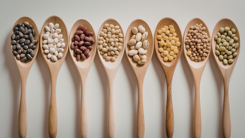 TasteOverTIme- Blog- Bean Protein