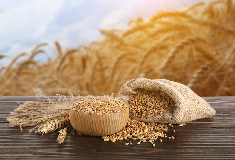 TasteOverTime- Blog- Fiber Re-Vitalized