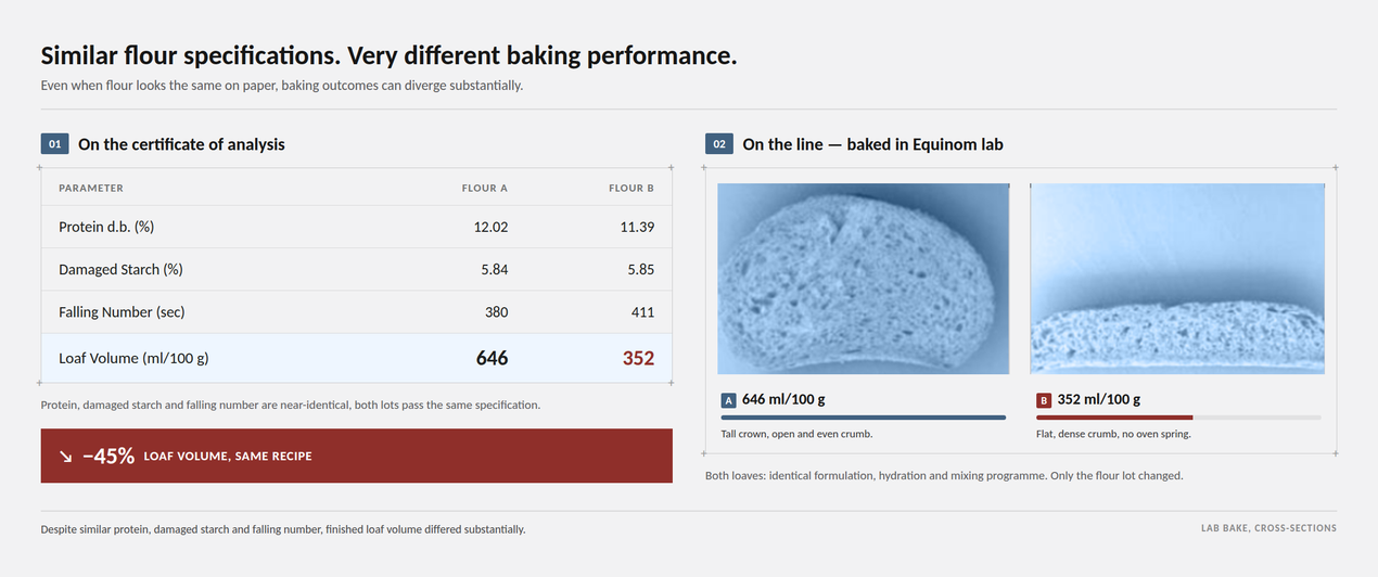 INLINE CHART 1_equinomlab_1270w.png