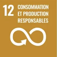 Objectif développement durable ONU