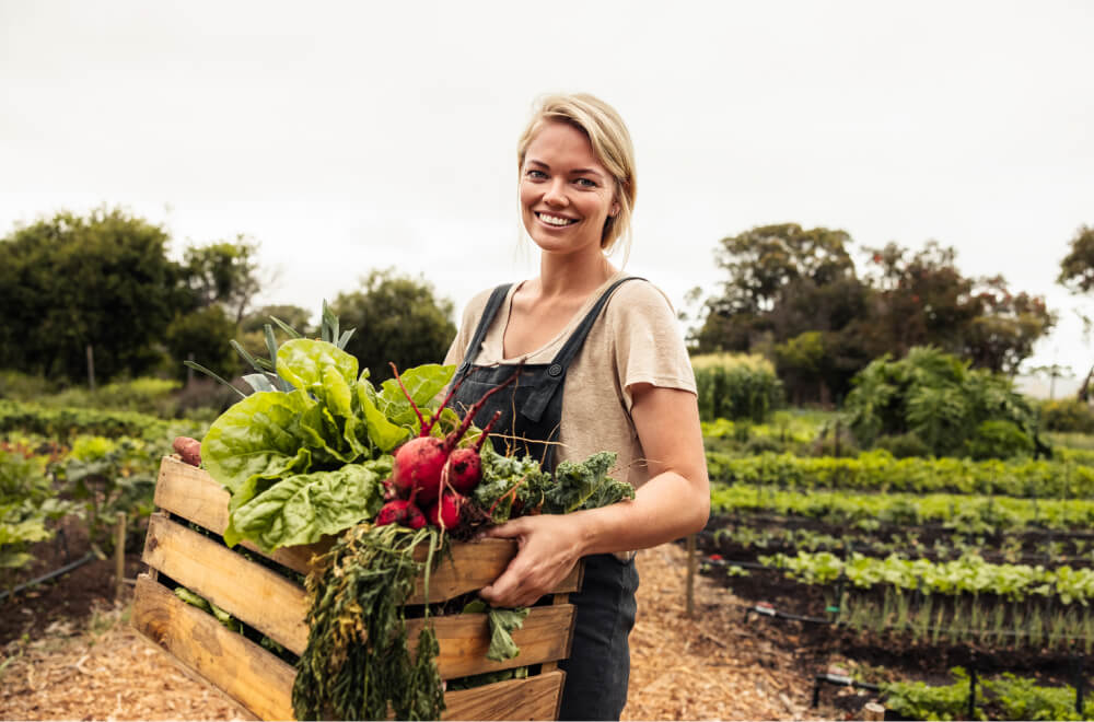 produce distributors paca invoice factoring