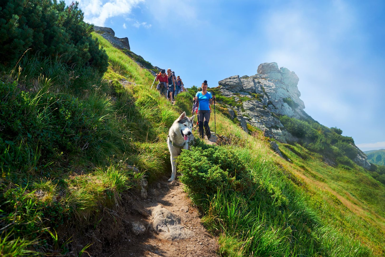 mandruy-project image