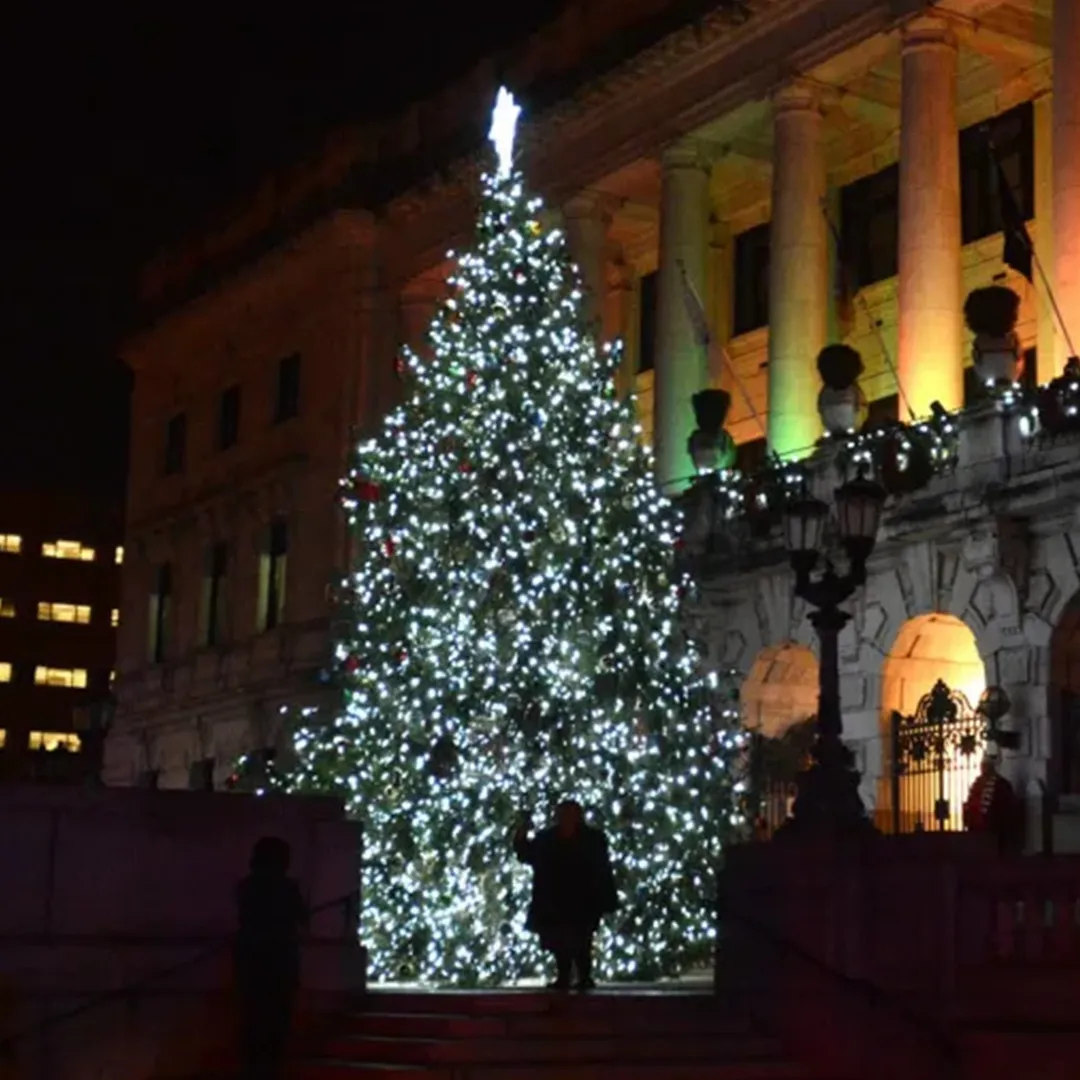 Tree Lighting