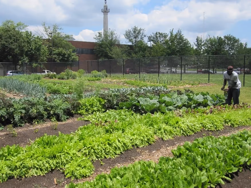 Isle Trenton Garden Support Network