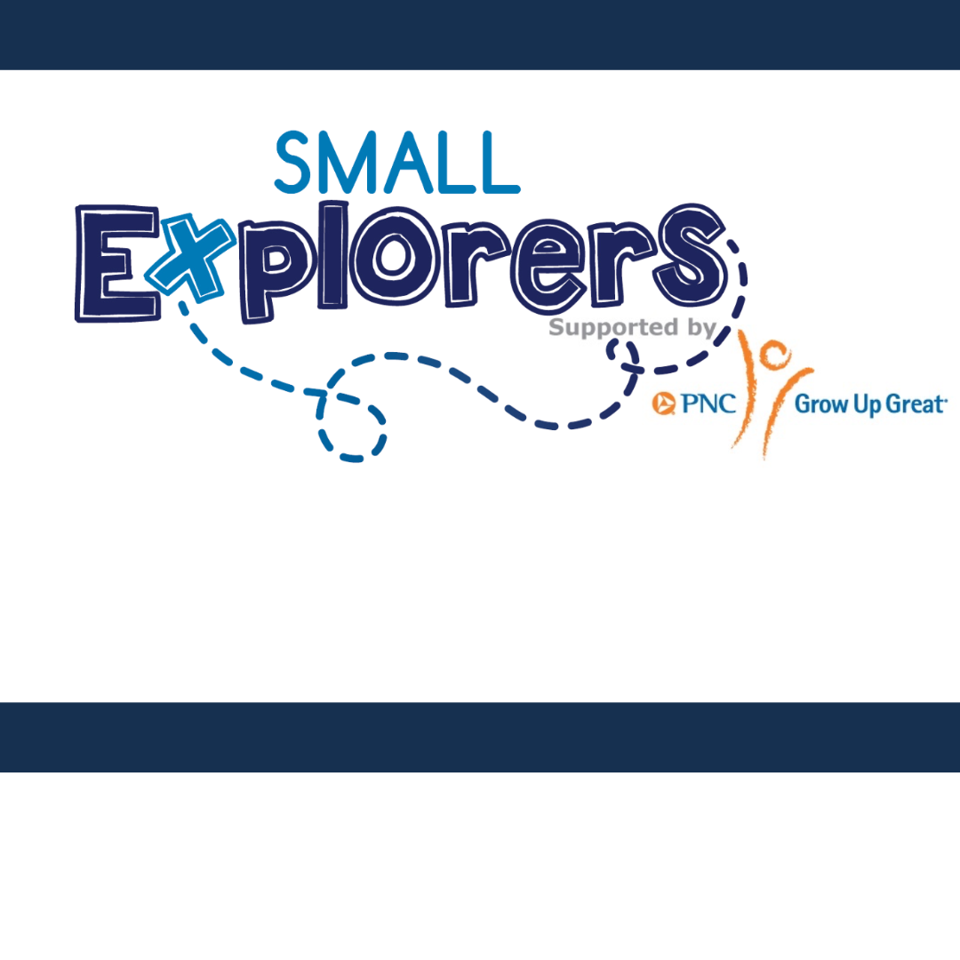 Small Explorers: Nocturnal Animals