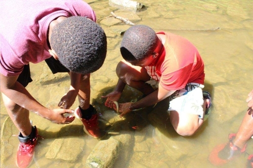 Kids exploring in creek