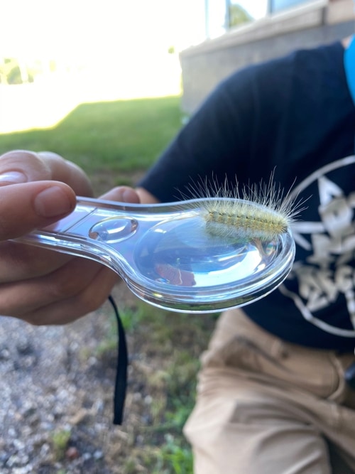 Footpath kid exploring nature