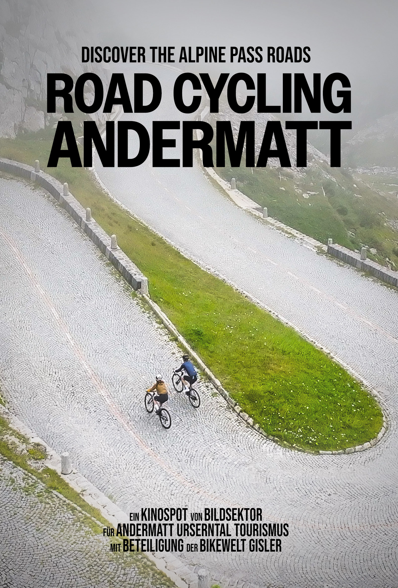 Discover the Alpine Pass Roads