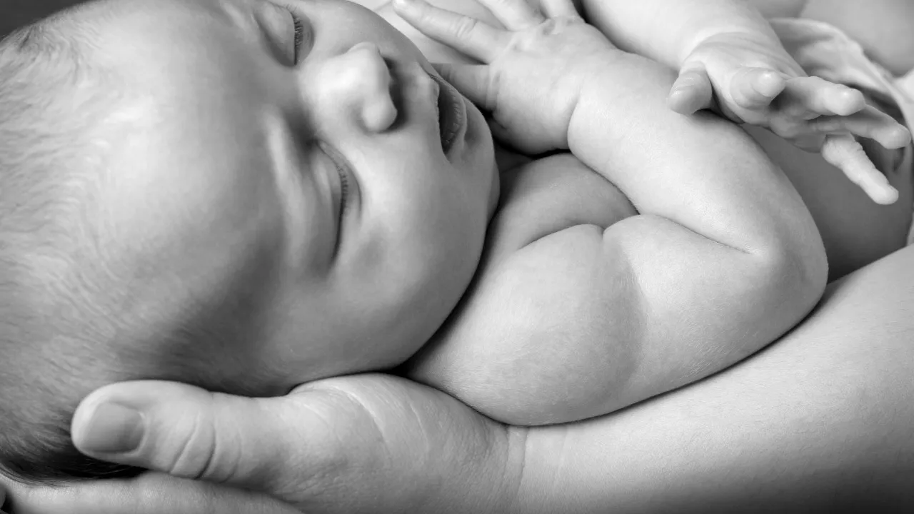 ЭКО с ооцитами донора