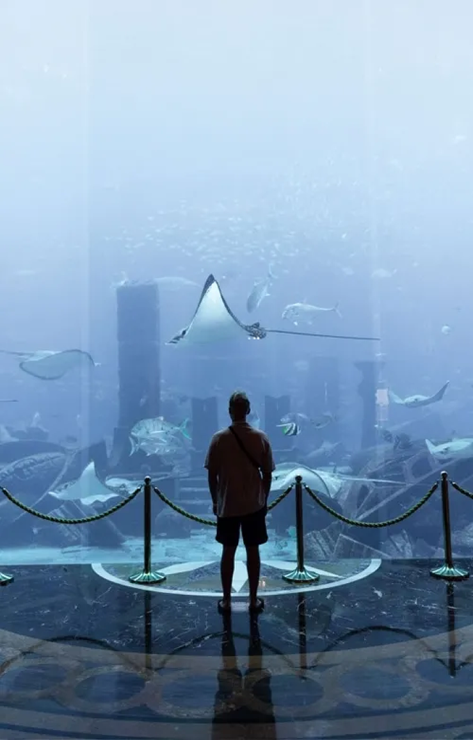 A man standing in front of a large aquarium.