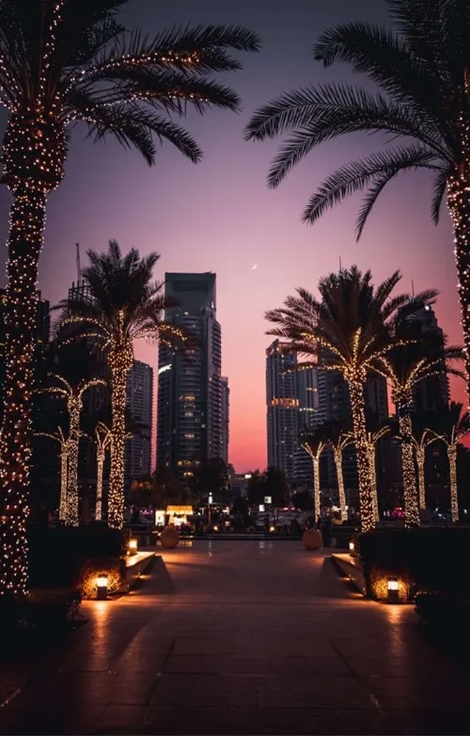 Palm trees are lit up at night in a city.