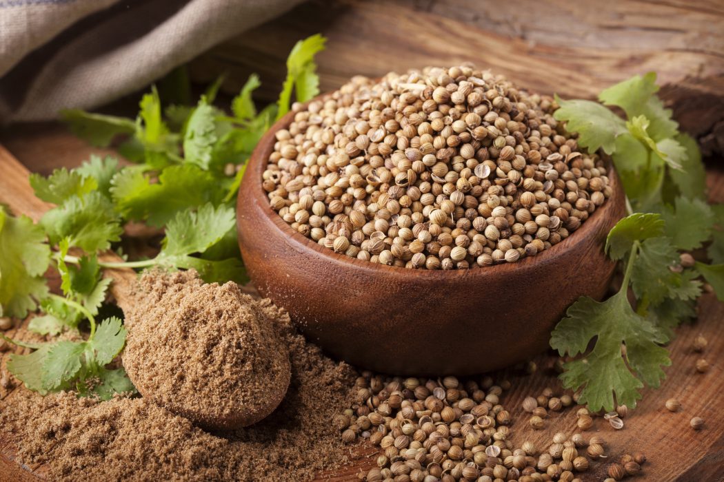 Culinary Tips - Using Coriander or Cilantro to beat the Summer in Dubai