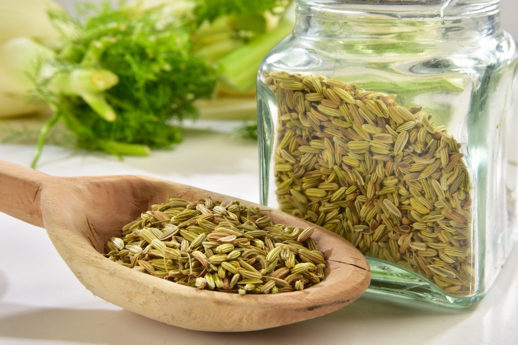 Culinary Tips - Using Fennel to beat the Summer in Dubai