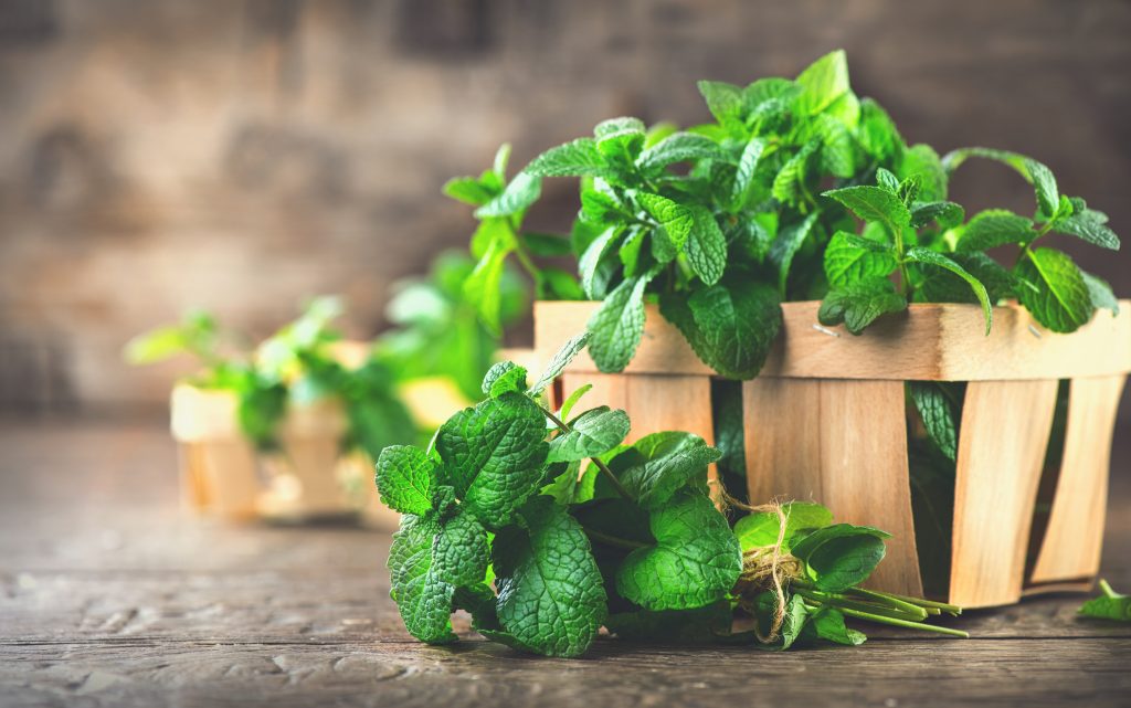 Culinary Tips - Using Mint to beat the Summer in Dubai