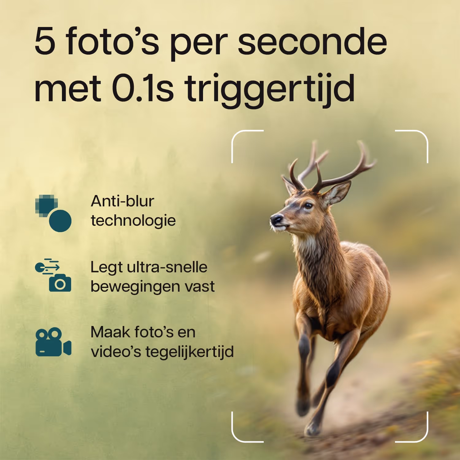 listing ontwerp voor bol.com