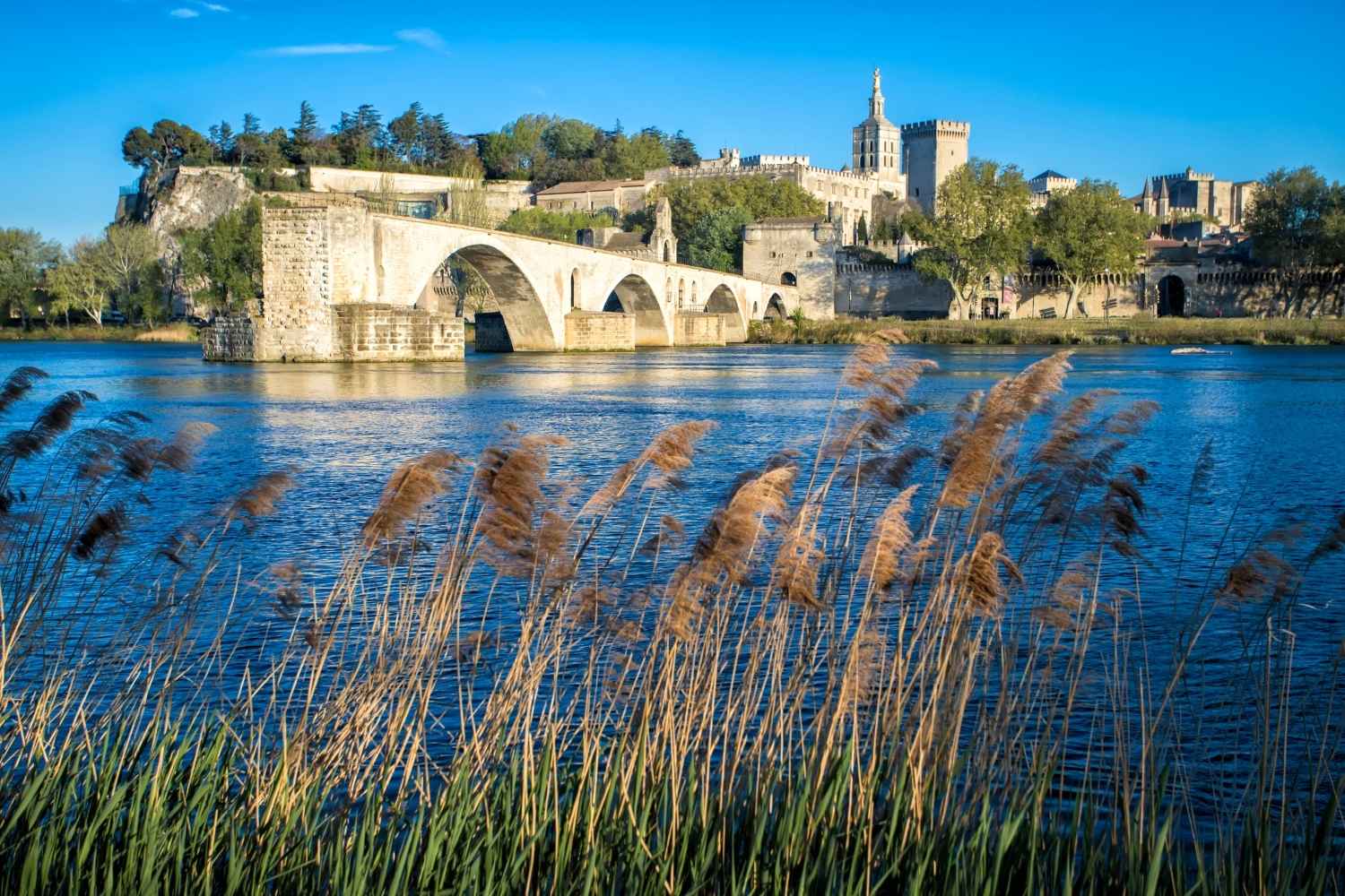 Top 10 des plus belles balades autour d'Avignon