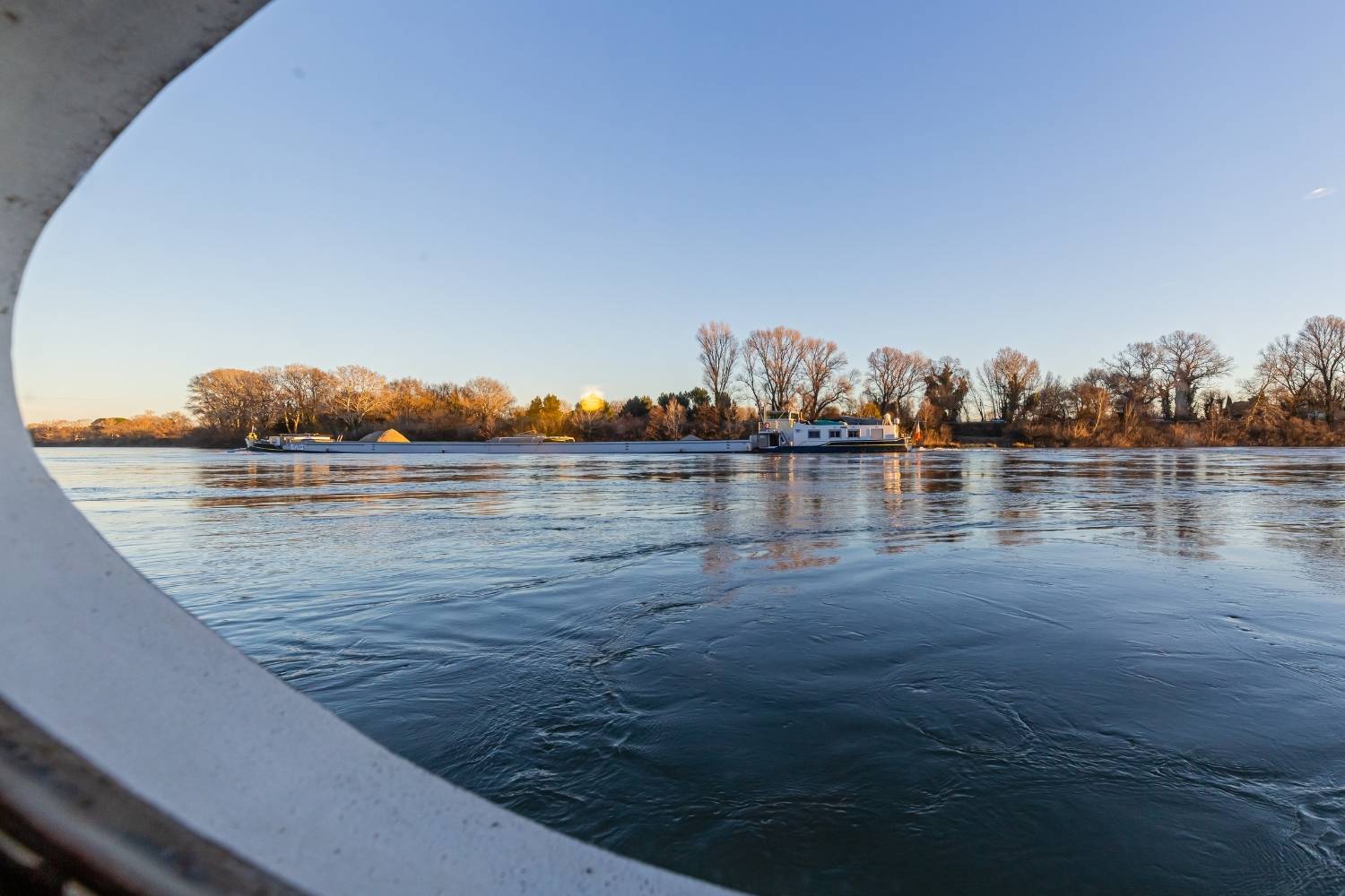 Île de la Barthelasse - balade autour d'Avignon