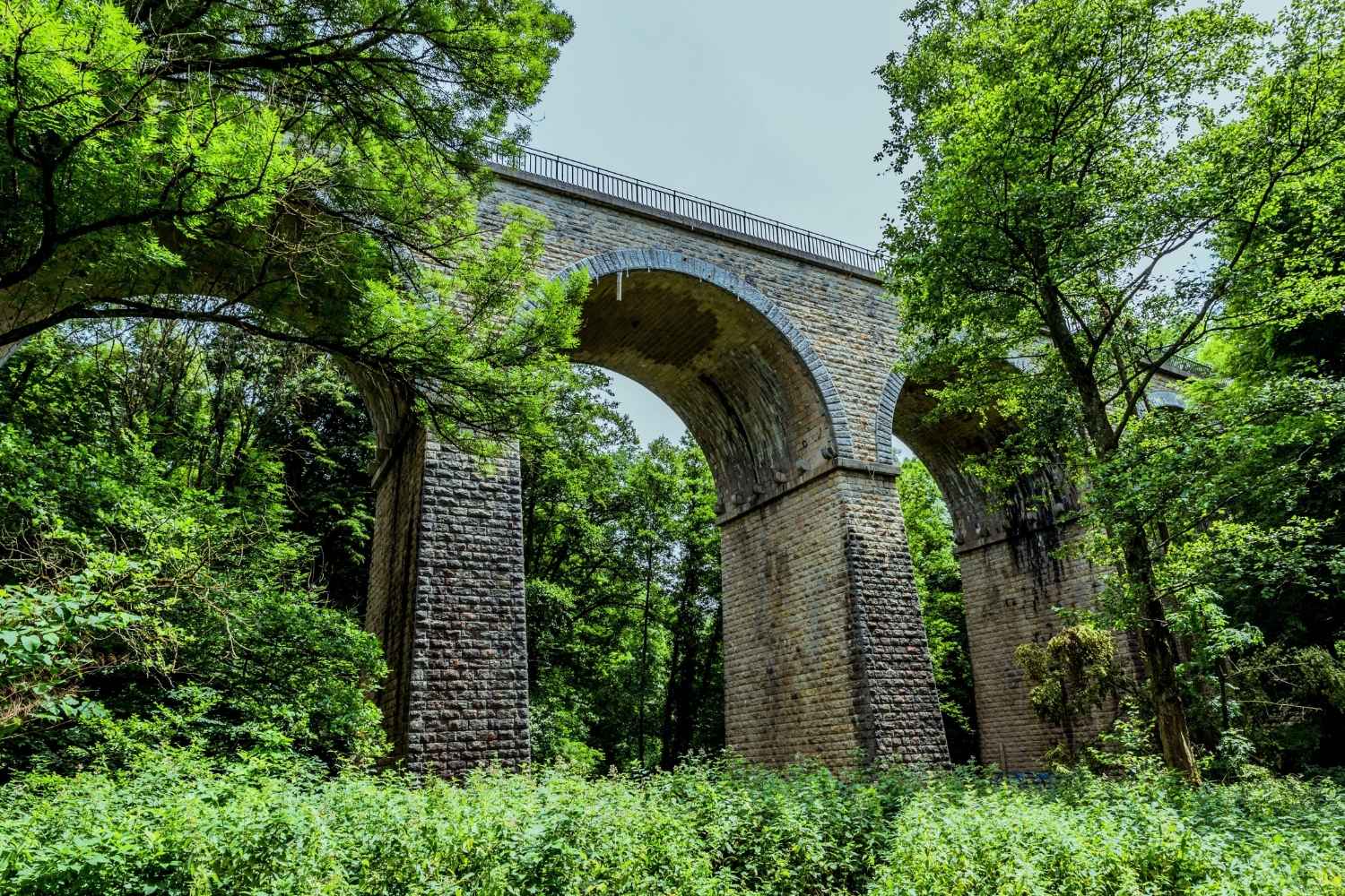 Bois de Serres, balade nature près de Lyon