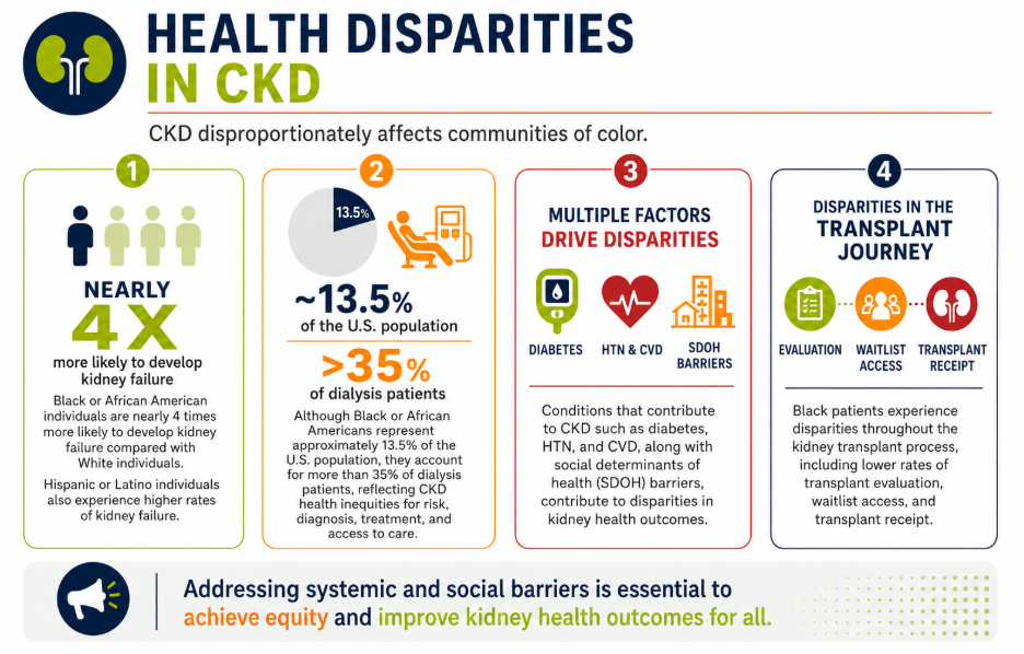 x more likely to develop kidney failure than White individuals. They make up 13.5% of the U.S. population but over 35% of dialysis patients. Diabetes, hypertension/CVD, and social determinants of health drive these disparities, which also affect transplant evaluation, waitlist access, and transplant receipt
