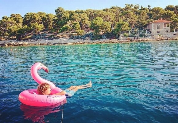 O flamingo rosa, nosso quase-mascote