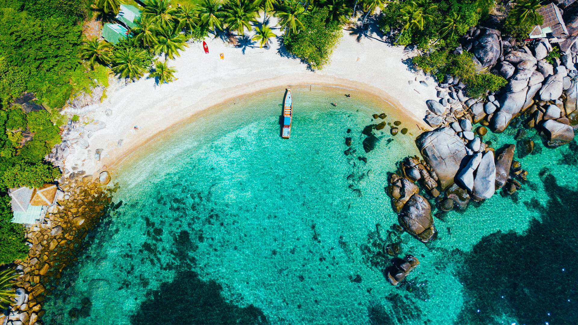 Article Background Image