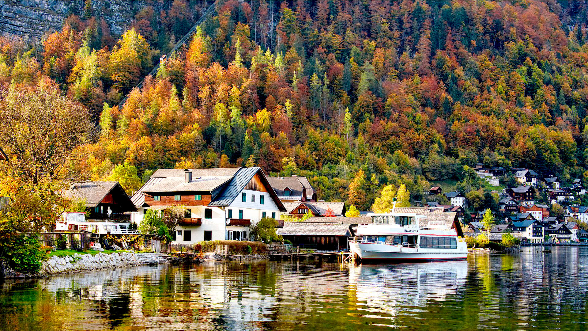 Article Background Image