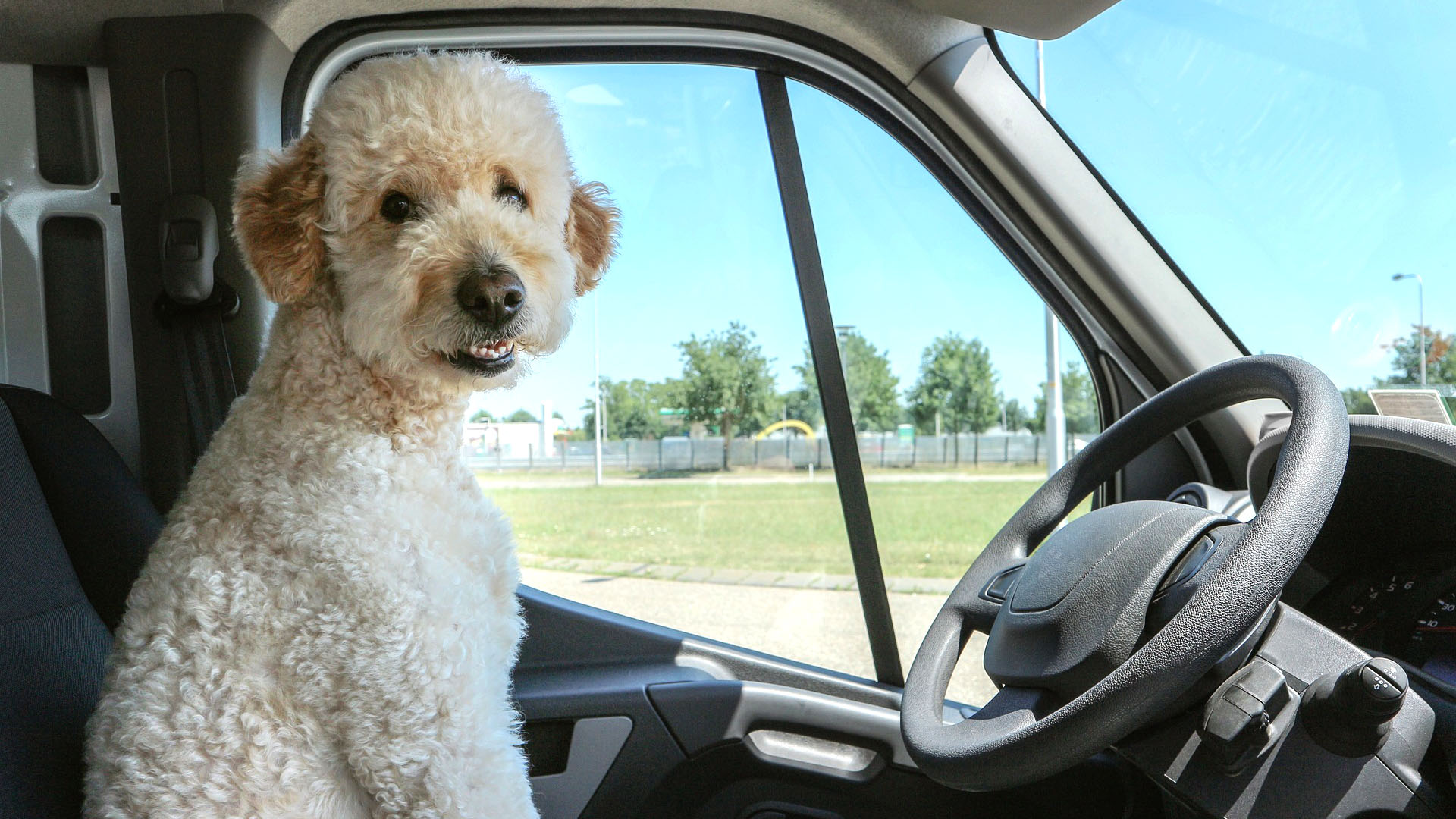 Article Background Image