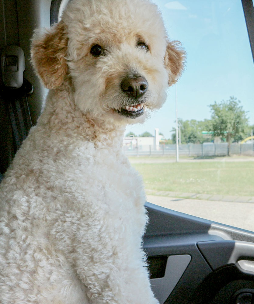 Article Background Image