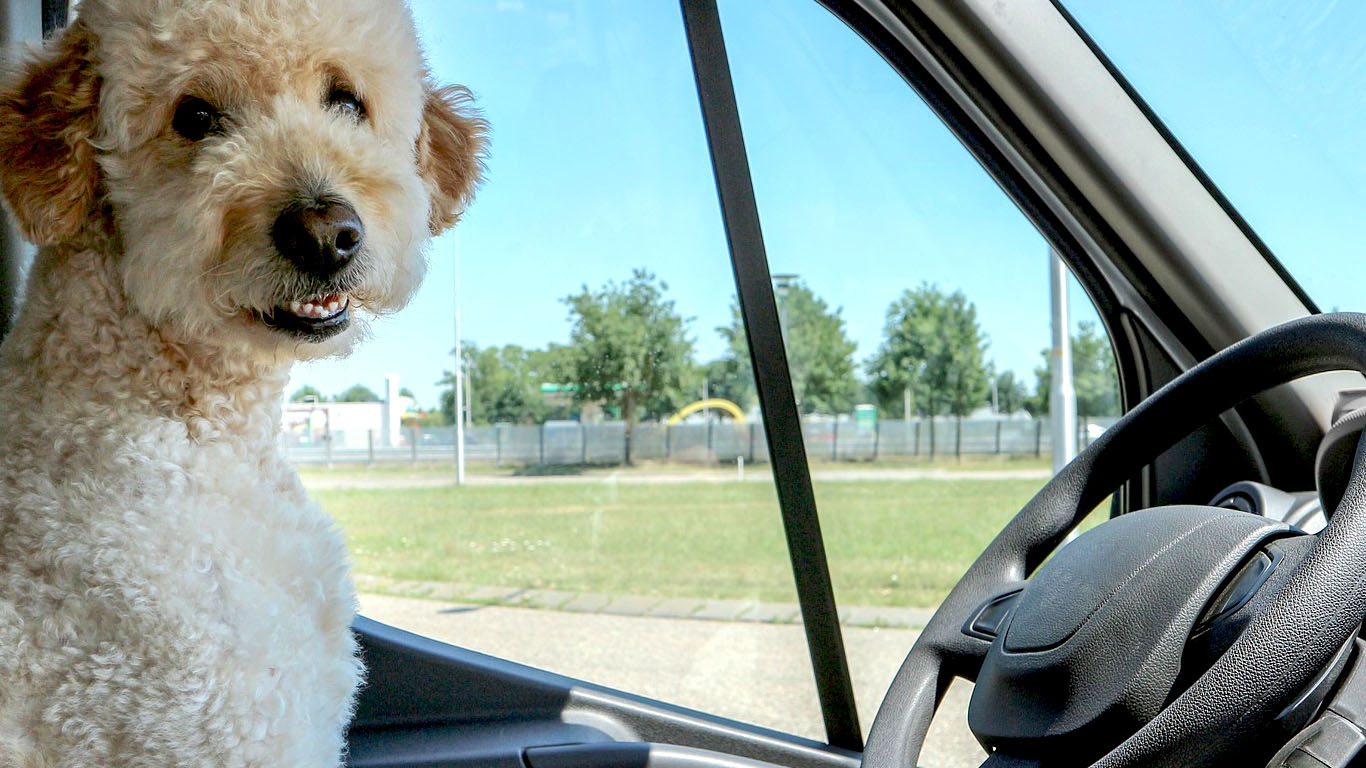 Article Background Image