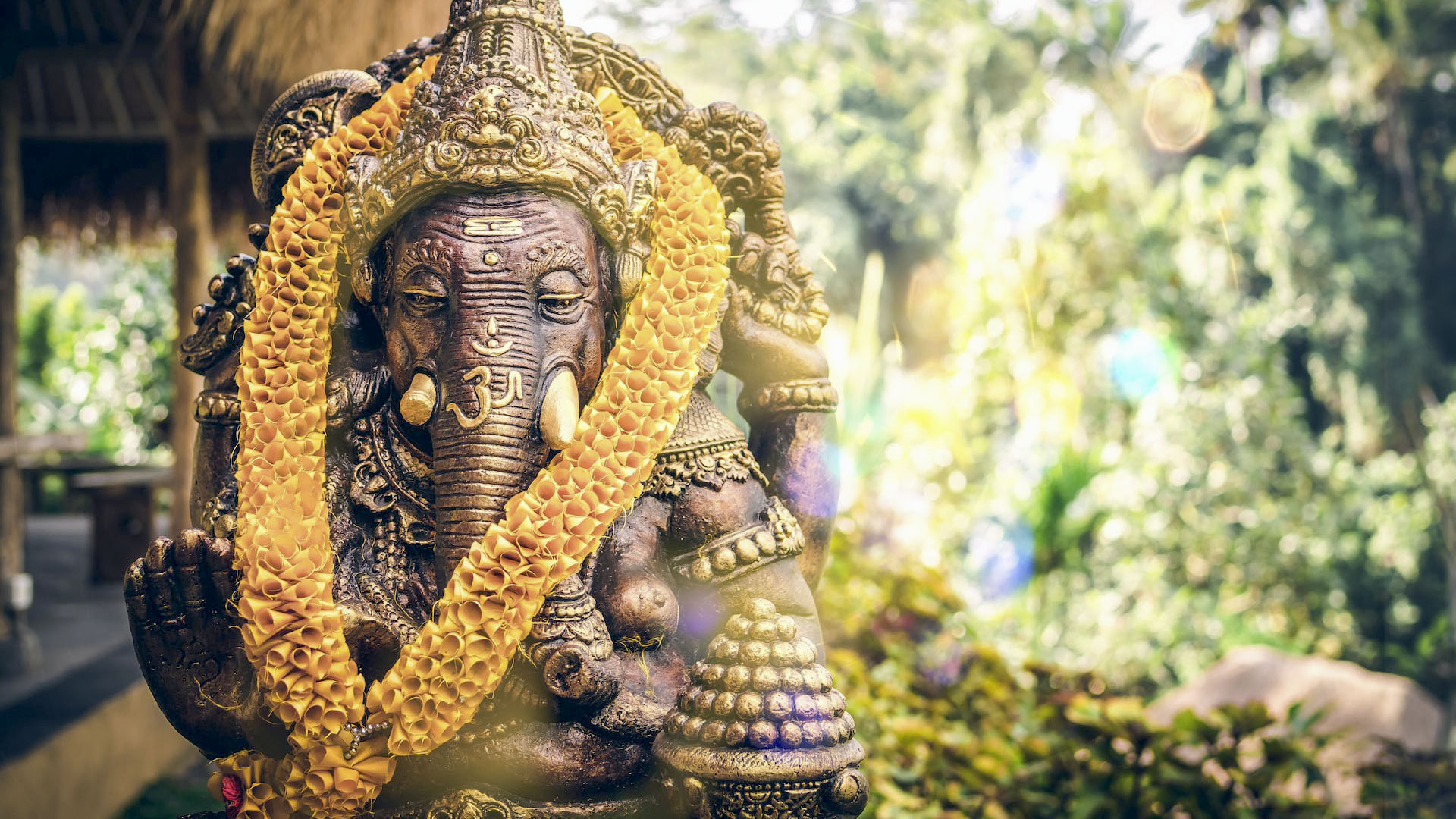 Article Background Image