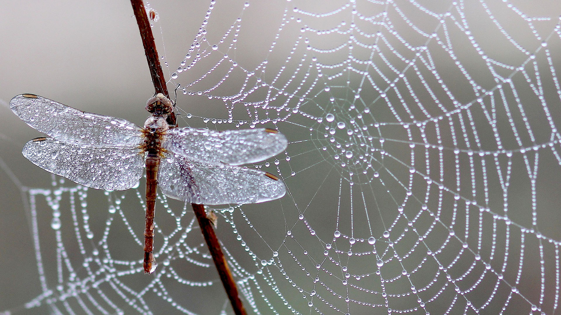 Article Background Image