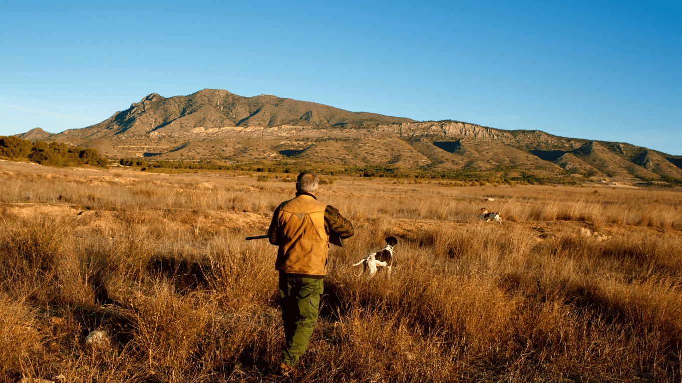 caçador com arma na mão no meio de um campo, junto com dois cachorros
