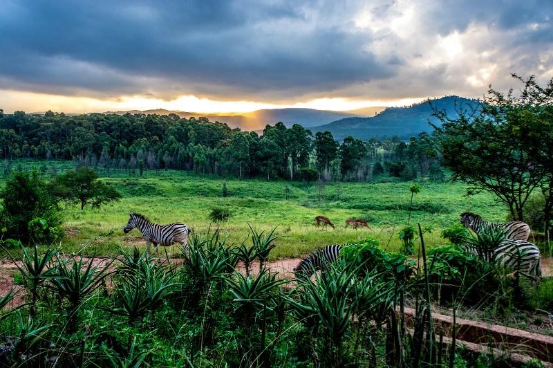 Eswatini Country Landscape Photo