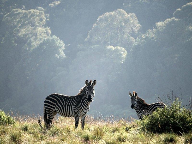 Malawi Country Landscape Photo