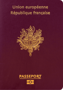 France Passport Cover