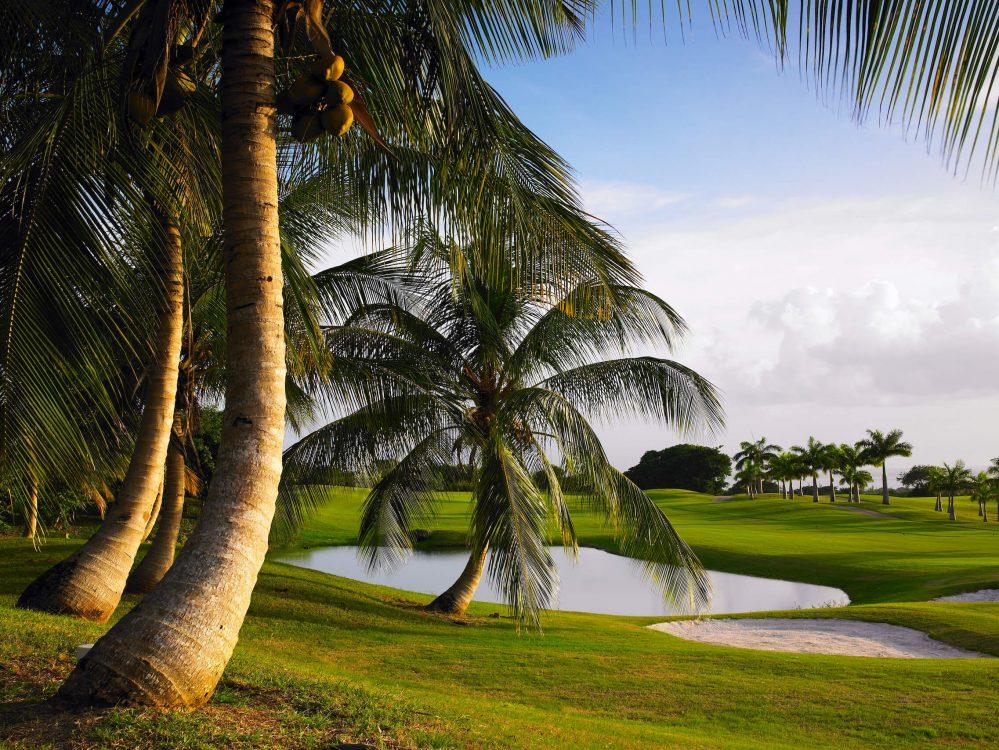 Image related to Golf
