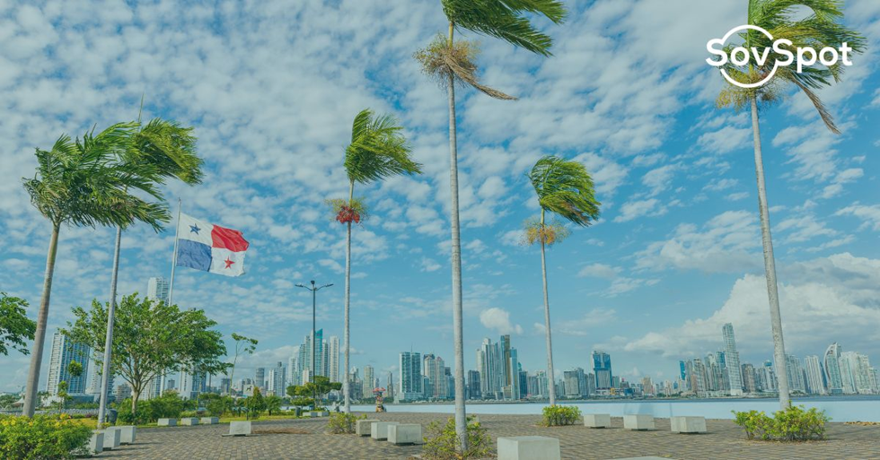 Palmeira com folhas verdesDescrição gerada automaticamente