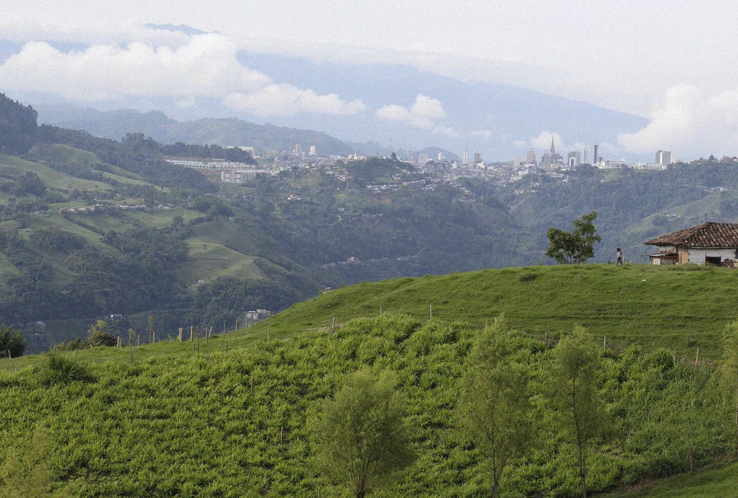 Manizales