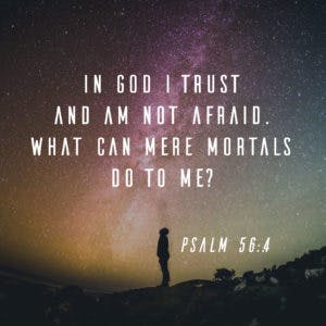 Scripture Art Psalm 56:4