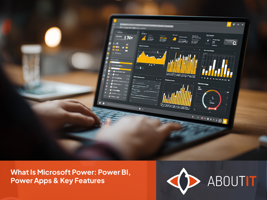 IT security agent working on his powerhouse software.