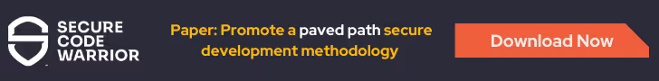 Banner that says paper: promote a paved path secure development methodology