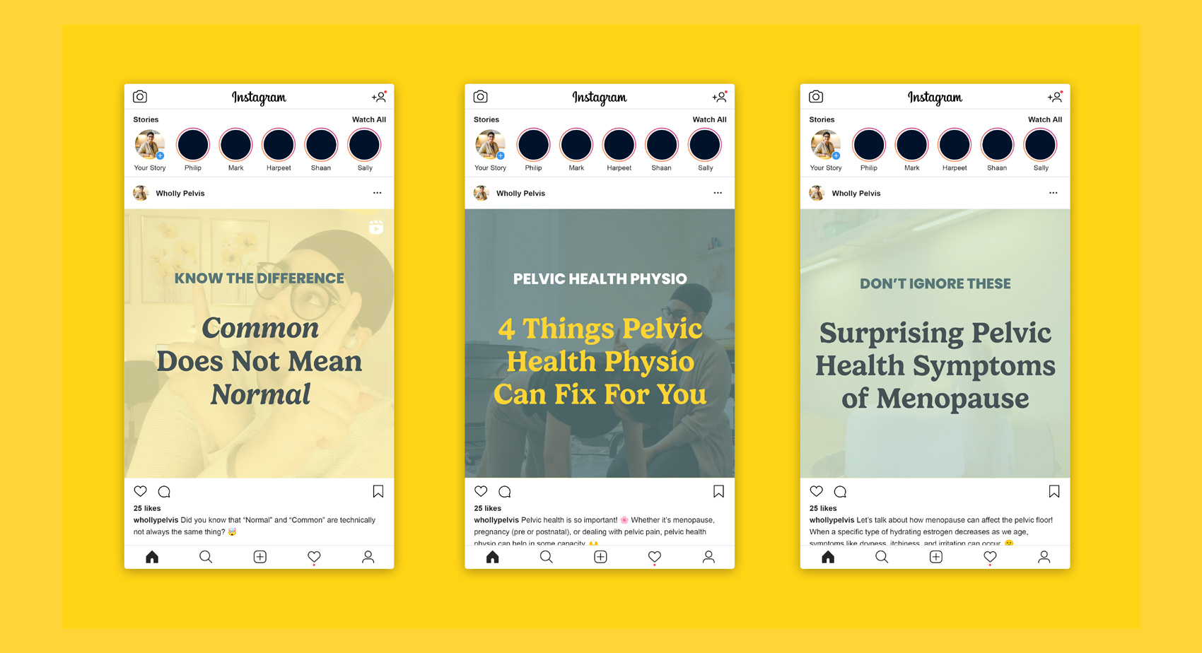 Social media design for Wholly Pelvis, a pelvic health physiotherapy clinic.