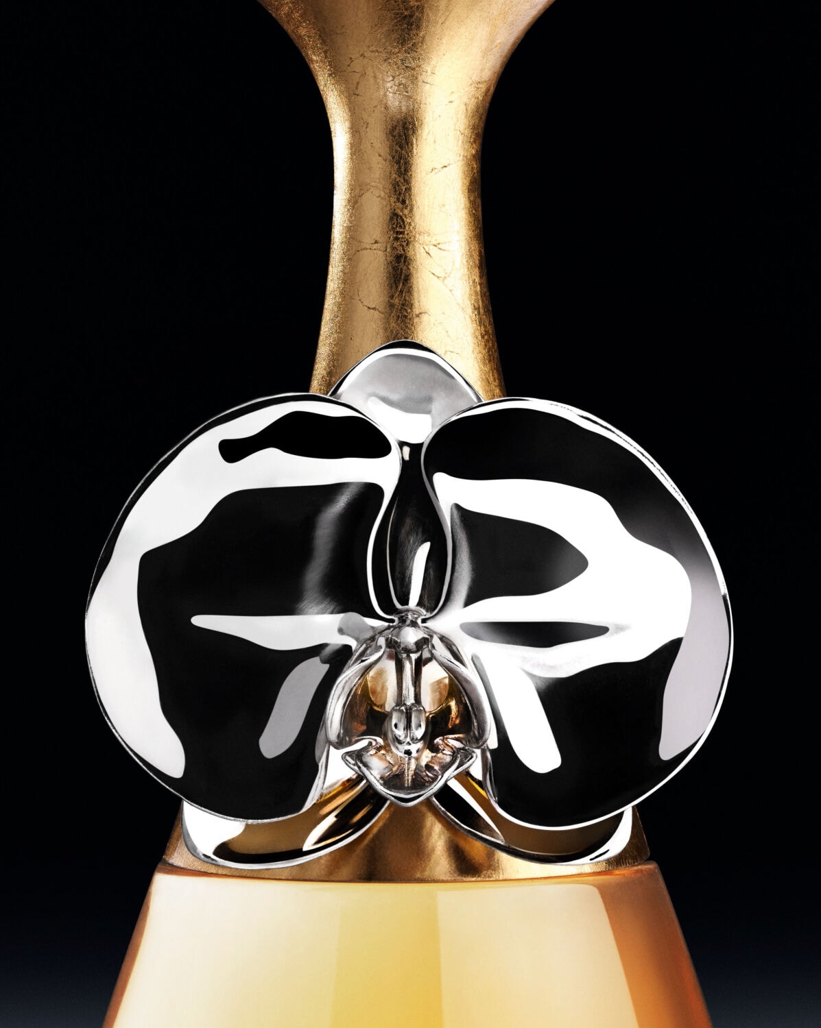 Jadore-3.jpg (1197×1500)