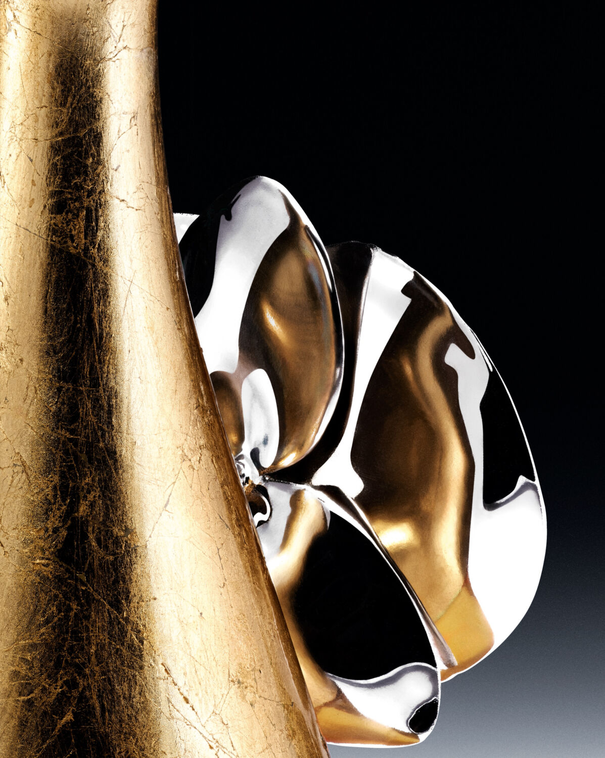 Jadore-1.jpg (1197×1500)