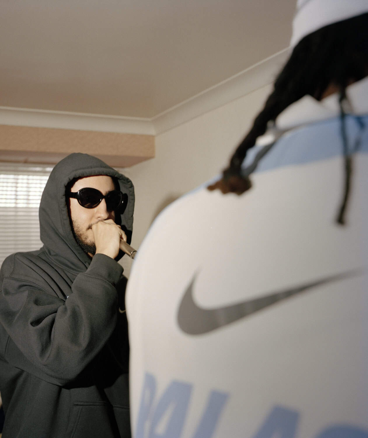 PalaceAM9509lores.jpg (1261×1500)