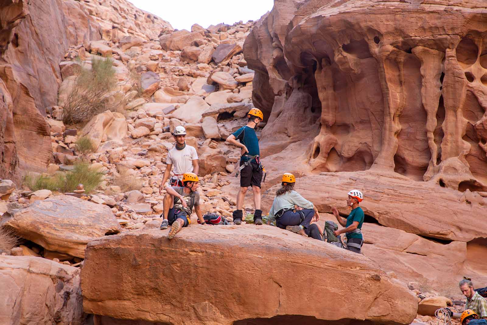 מטיילים במדבר של ירדן