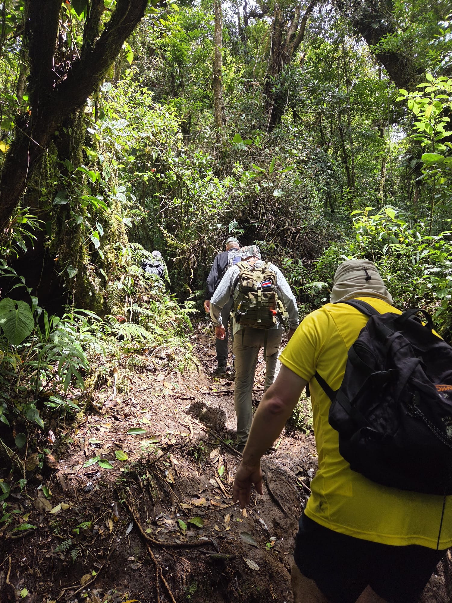 בעלי חיים אקזוטיים