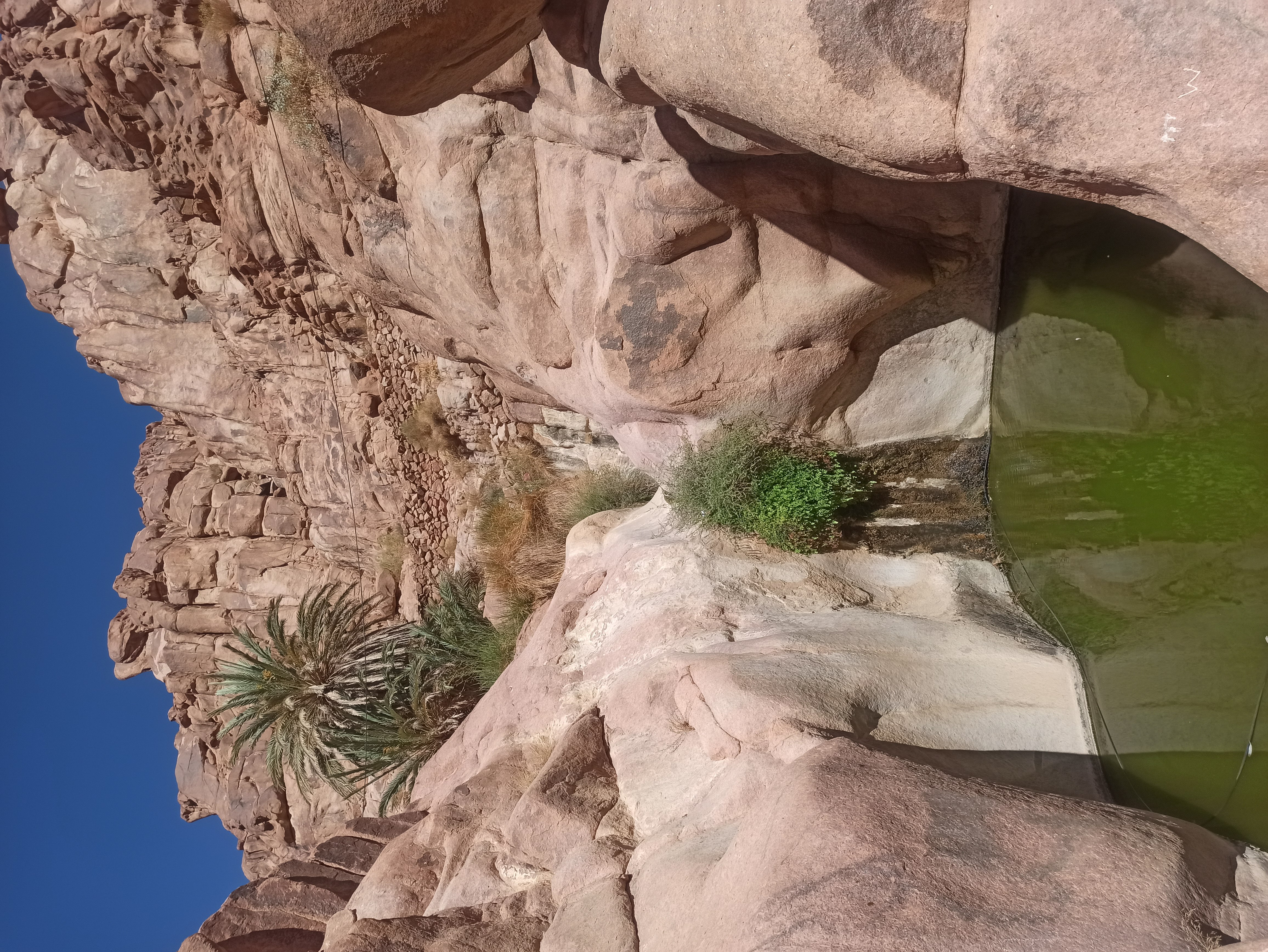  סיני. טרק בהר הגבוה