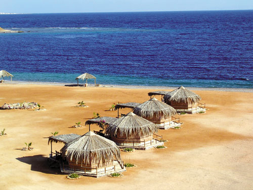  סיני. טרק בהר הגבוה