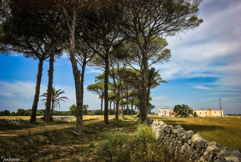 טורינג! טיול אופניים עצמאי בדרום איטליה